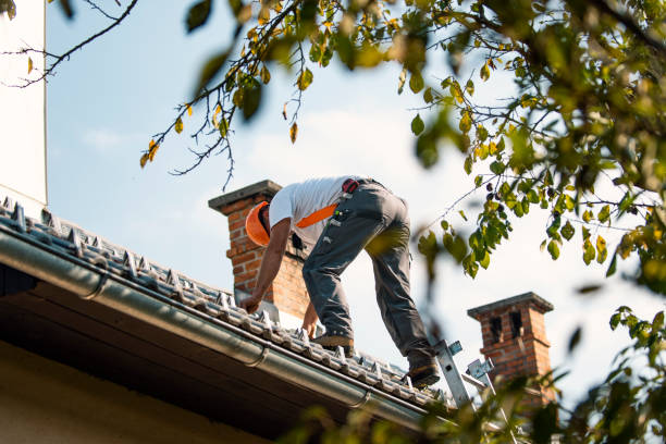 Roof Gutter Cleaning in Whitesboro, TX