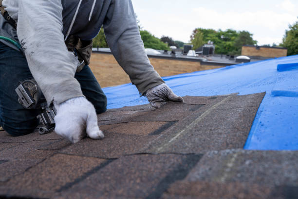 Best Roof Gutter Cleaning  in Whitesboro, TX